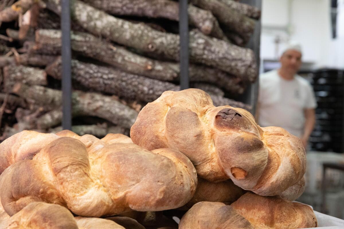 “Pani di Puglia”: reportage, memorie e un docufilm per raccontare un’eccellenza della regione – VIDEO