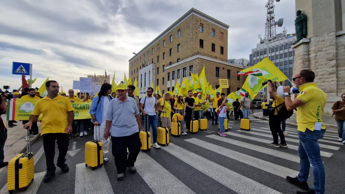 Bari, agricoltori del grano protestano contro le importazioni: «In Puglia 38mila imprese a rischio»