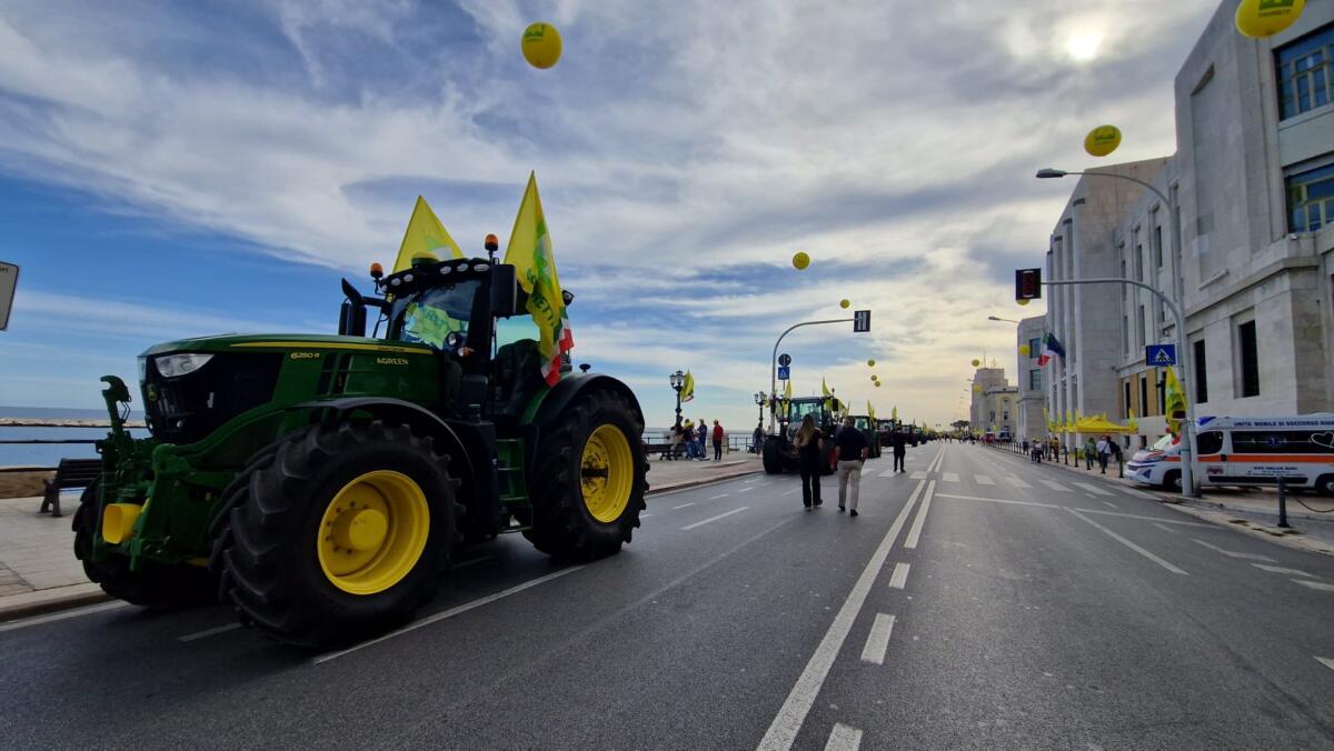 Bari, agricoltori del grano protestano contro le importazioni: «In Puglia 38mila imprese a rischio»