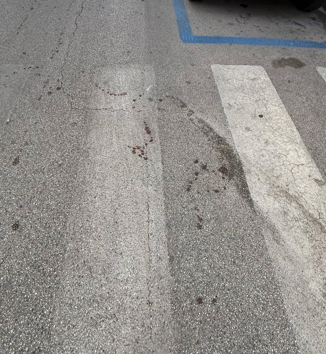 Bari, la preoccupazione dei residenti nell’Umbertino: «Una “scia” di sangue sull’asfalto»
