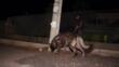 Droga nel carcere di Taranto, blitz della polizia: 25 arresti, tra loro anche parenti di detenuti – VIDEO