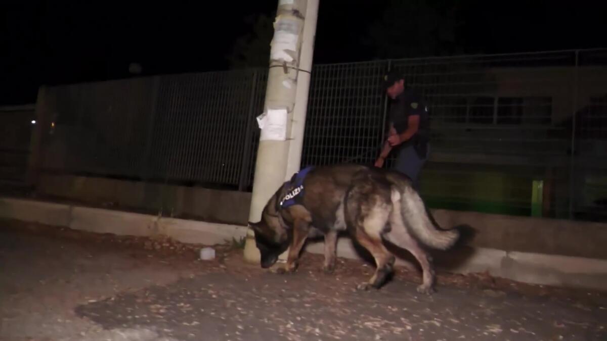 Galleria foto 'Droga nel carcere di Taranto, blitz della polizia: 25 arresti, tra loro anche parenti di detenuti – VIDEO' - foto 1