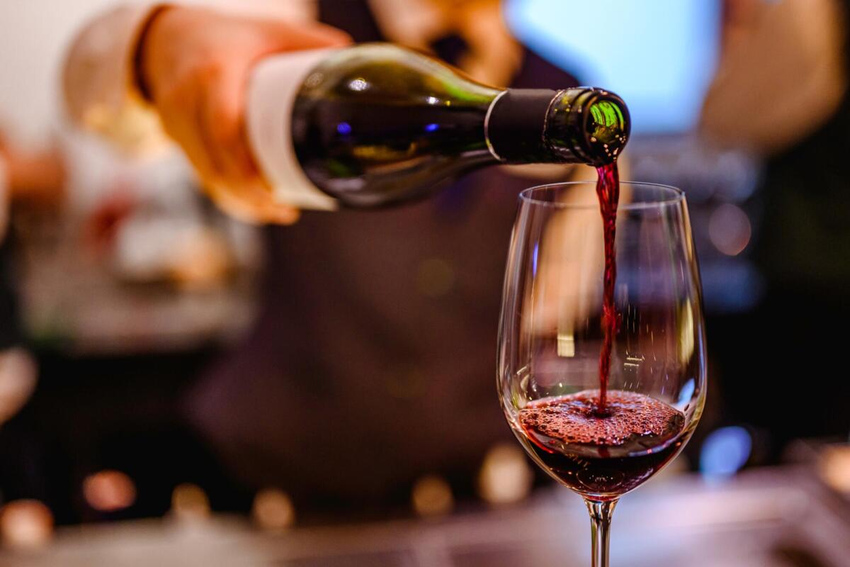 Bari, il format ZeroZero approda in Puglia con 20 Vignaioli storici Bari, il format ZeroZero approda in Puglia con 20 Vignaioli storici