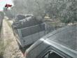 Sorpresi a rubare olive nelle campagne del Barese, denunciati due uomini: avevano già raccolto 53 quintali