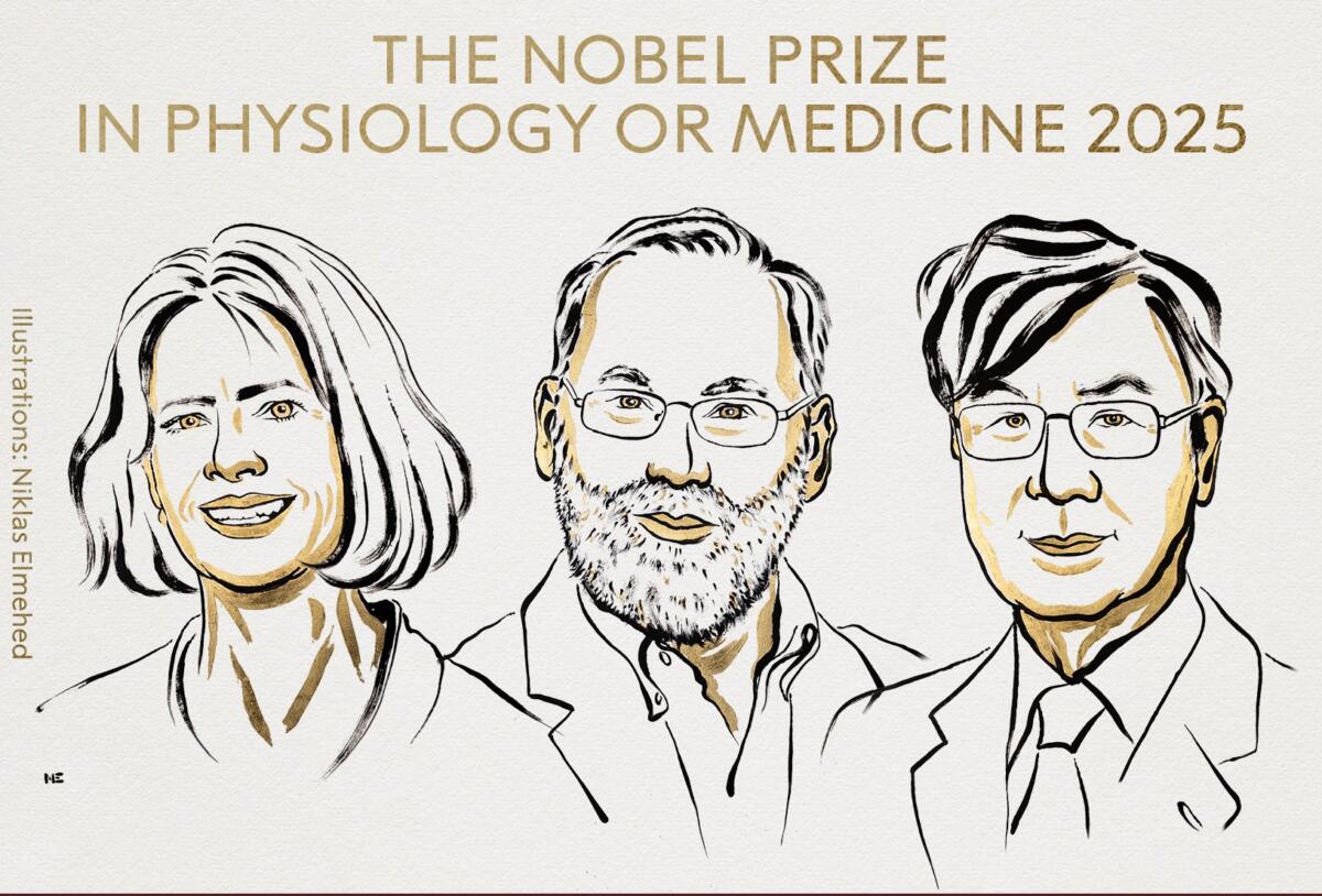 Nobel per la Medicina 2025 a Brunkow, Ramsdell e Sakaguchi per scoperte su sistema immunitario Nobel per la Medicina 2025 a Brunkow, Ramsdell e Sakaguchi per scoperte su sistema immunitario