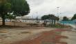 Bari, abbattuti alberi per il cantiere Brt in via Maratona: scoppia la polemica