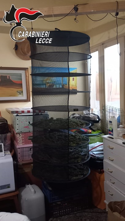 Galleria foto 'Santa Maria di Leuca, serre artigianali e droga in casa destinata allo spaccio: 2 arresti in poche ore' - foto 2