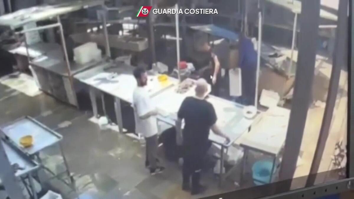 Galleria foto 'Fondale devastato per pescare datteri di mare, 35 arresti nel Nord Barese: «Danni inestimabili» – VIDEO' - foto 1