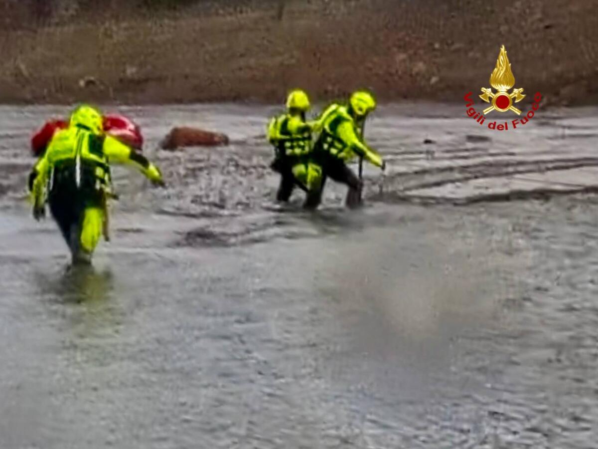 Grosso bovino bloccato nel fango vicino alla diga del Pertusillo: salvato dai vigili del fuoco – FOTO e VIDEO Grosso bovino bloccato nel fango vicino alla diga del Pertusillo: salvato dai vigili del fuoco – FOTO e VIDEO