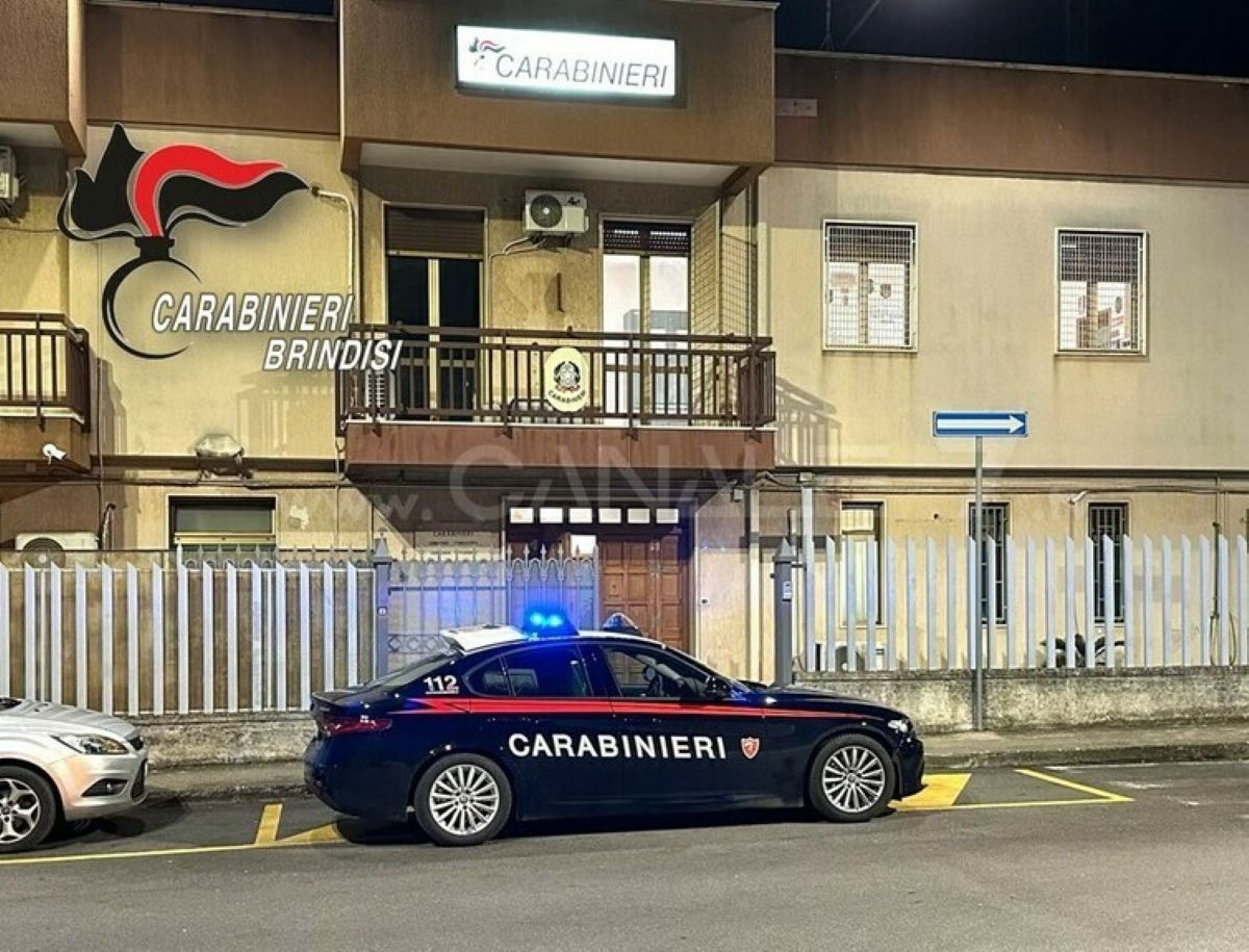 Galleria foto 'Fasano, mette a segno sette furti in nove mesi: il ladro seriale 23enne finisce ai domiciliari' - foto 1