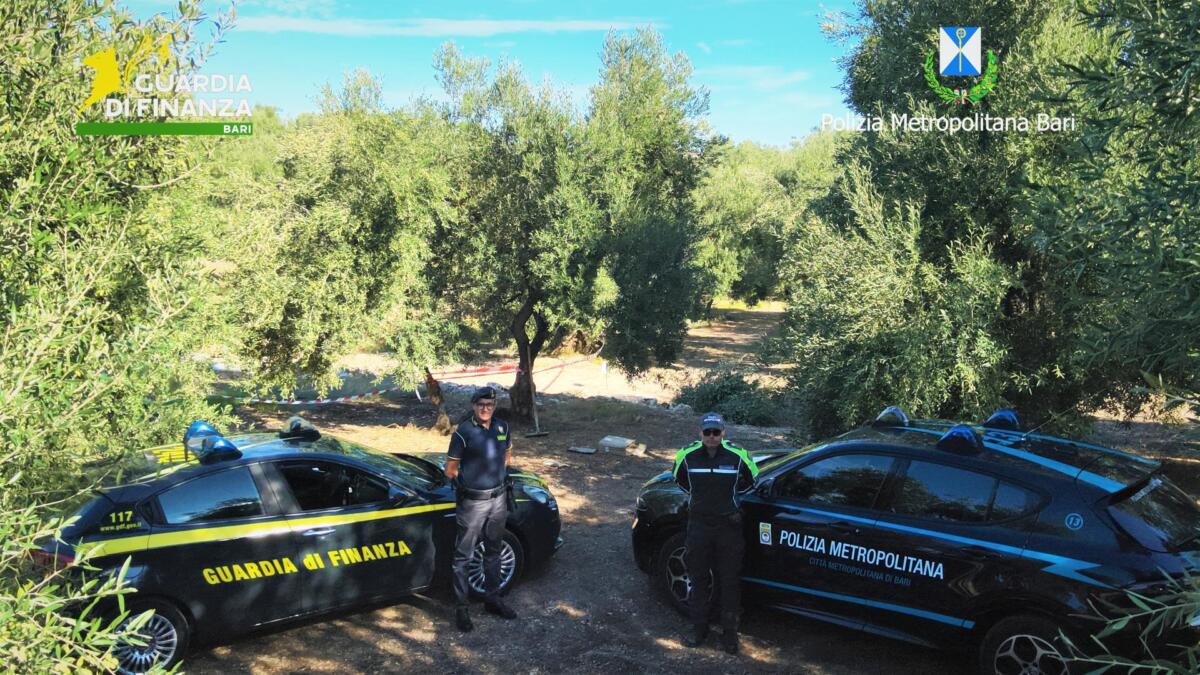 Molfetta, 35mila chili di rifiuti smaltiti in campagna: sequestrata un’impresa edile, due indagati Molfetta, 35mila chili di rifiuti smaltiti in campagna: sequestrata un’impresa edile, due indagati