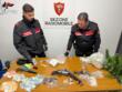 Veglie, in casa quasi un chilo di droga e armi clandestine: arrestati tre uomini e una donna
