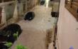 Maltempo in Puglia, violente piogge nel Brindisino: disperso un uomo. Ricerche in corso a Ostuni