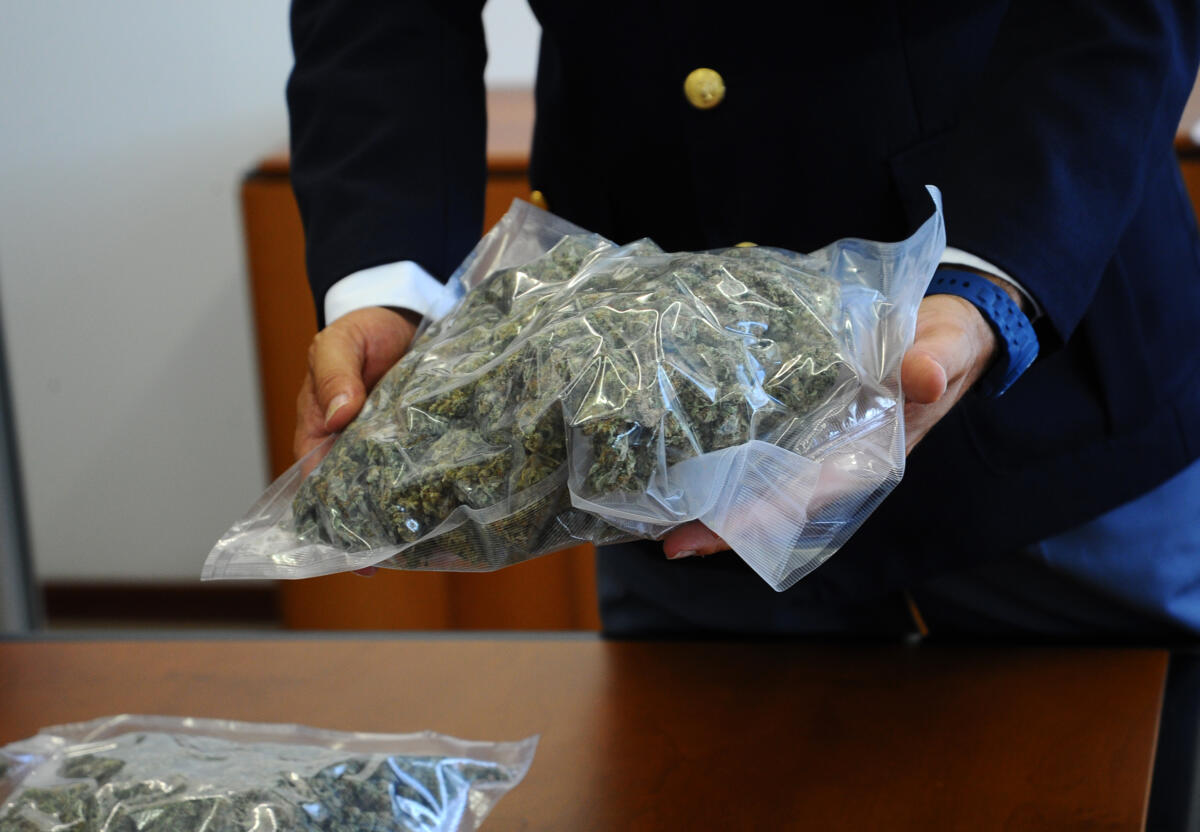 Droga, Brindisi snodo cruciale in Puglia: nel porto intercettati oltre 8mila chili nel 2024 Droga, Brindisi snodo cruciale in Puglia: nel porto intercettati oltre 8mila chili nel 2024
