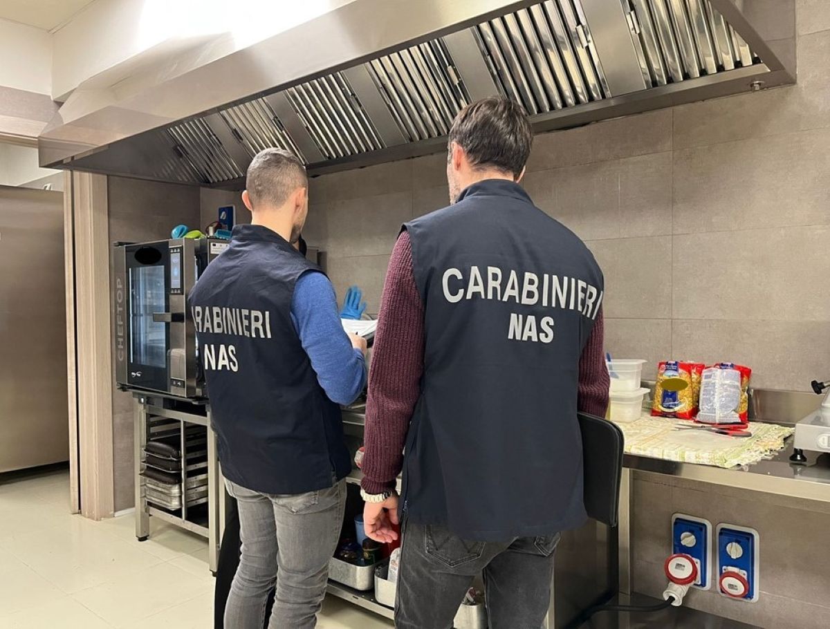 Ristorante infestato da blatte, blitz dei Nas in un centro commerciale del Barese: chiuso il locale Ristorante infestato da blatte, blitz dei Nas in un centro commerciale del Barese: chiuso il locale