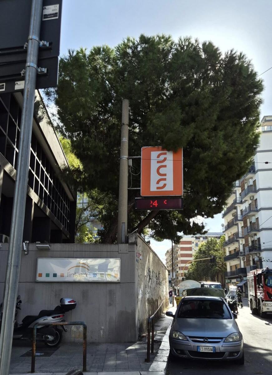 Bari, palo pericolante in via Re David: strada temporaneamente chiusa al traffico Bari, palo pericolante in via Re David: strada temporaneamente chiusa al traffico