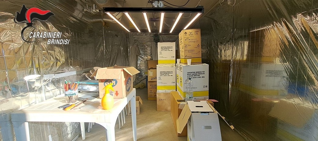 Galleria foto 'Brindisi, una piantagione di marijuana nella casa di campagna: arrestati marito e moglie di 52 e 56 anni – FOTO' - foto 4