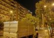 Bari, piantati nella notte 14 alberi di ligustro in piazza Luigi di Savoia