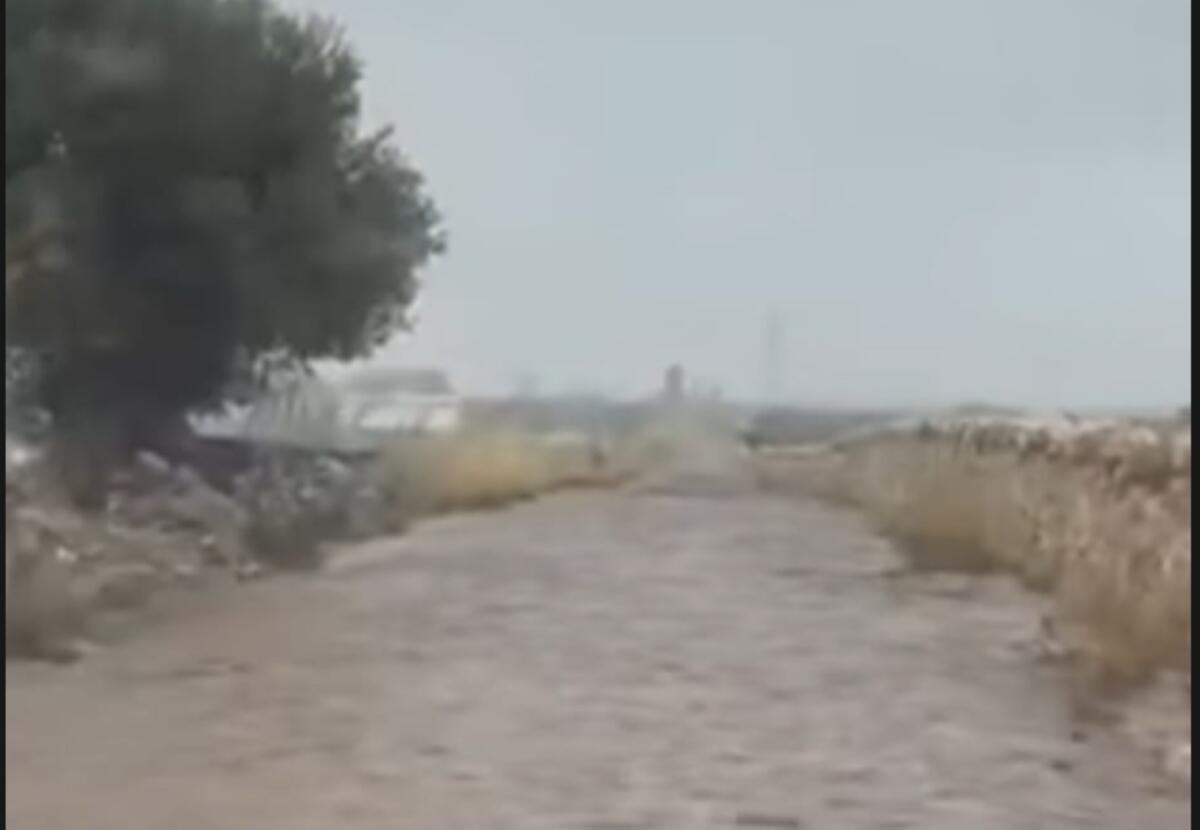 Maltempo in Puglia, allerta arancione per rischio idrogeologico: chiusa la Sp 58 nel Foggiano Maltempo in Puglia, allerta arancione per rischio idrogeologico: chiusa la Sp 58 nel Foggiano
