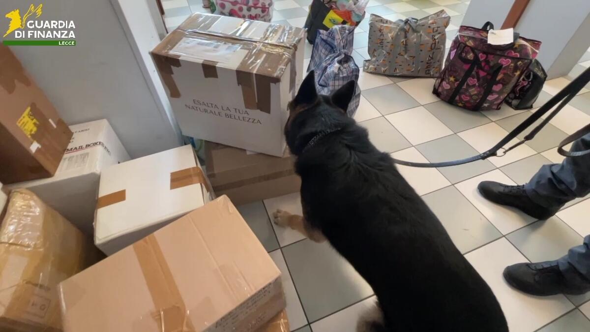 Carcere di Lecce, droga nascosta nei doppifondi dei pacchi per i detenuti: sequestrati 1,3 chili di hashish – VIDEO Carcere di Lecce, droga nascosta nei doppifondi dei pacchi per i detenuti: sequestrati 1,3 chili di hashish – VIDEO