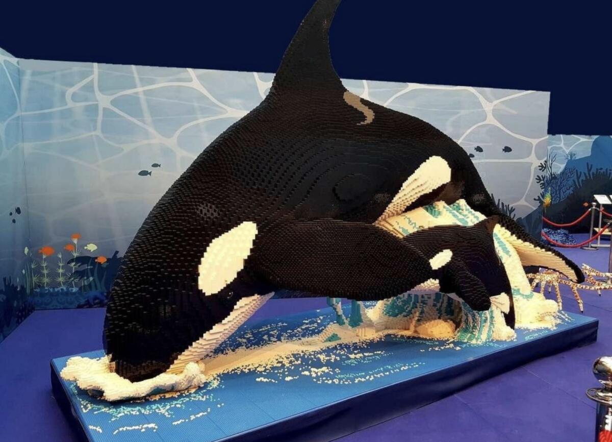 Galleria foto 'La magia dei mattoncini Lego sbarca a Bari: “BrickArt Ocean” apre in Fiera del Levante – FOTO' - foto 2