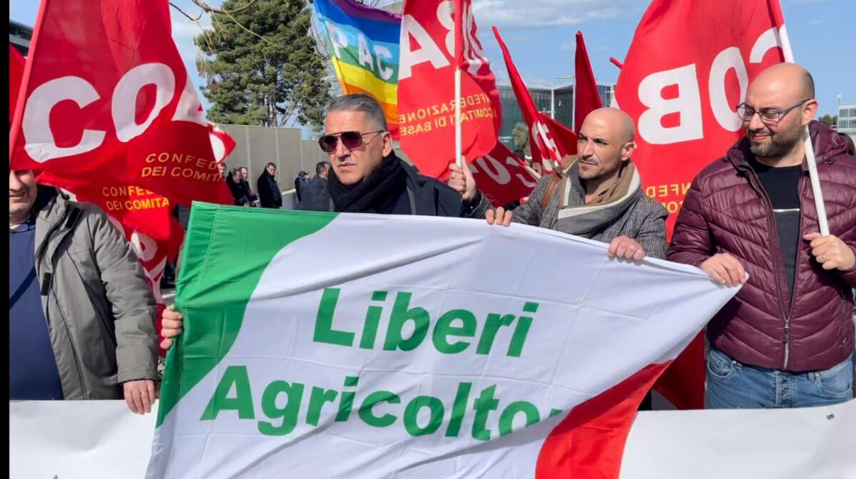 Galleria foto '«Annullate le cartelle di pagamento». A Lecce gli agricoltori minacciano la class action' - foto 1