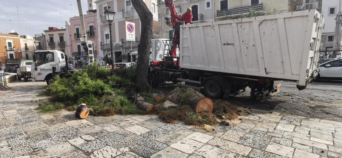 Bari, tre gli alberi caduti in città a causa del maltempo: al cimitero i rami di un cipresso spezzati dal vento – FOTO