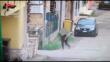 Maxi operazione contro la Scu nel Salento, 22 arresti: l’inchiesta partita dopo la cattura di un latitante – VIDEO