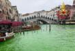 Canal Grande tinto di verde, a Venezia indagata Greta Thunberg e 36 attivisti: tra loro anche pugliesi