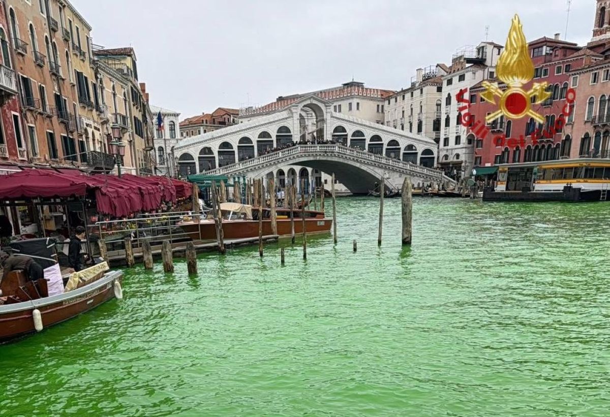 Galleria foto 'Canal Grande tinto di verde, a Venezia indagata Greta Thunberg e 36 attivisti: tra loro anche pugliesi' - foto 1