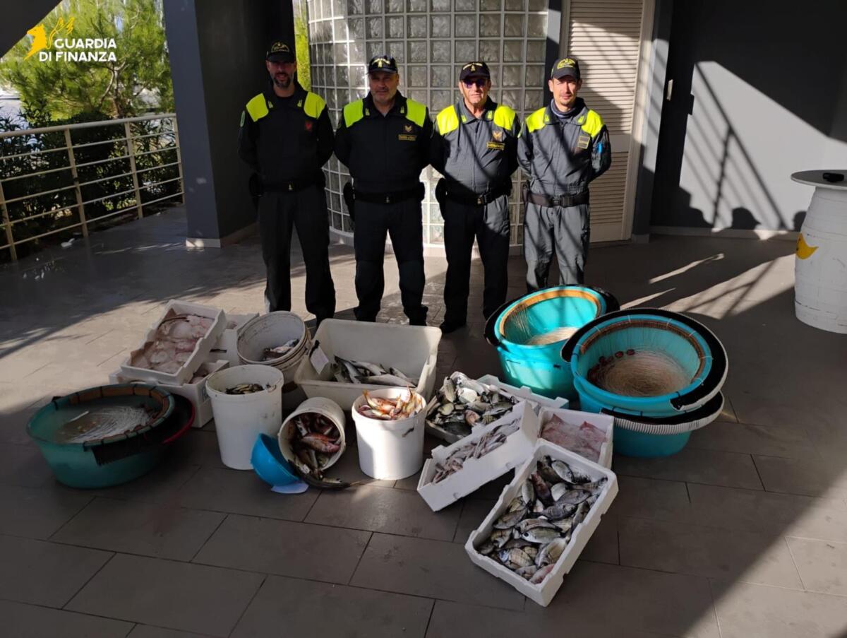 Contrasto alla pesca di frodo nel Brindisino, sequestrati oltre 100 chili di prodotto ittico nel porto – FOTO