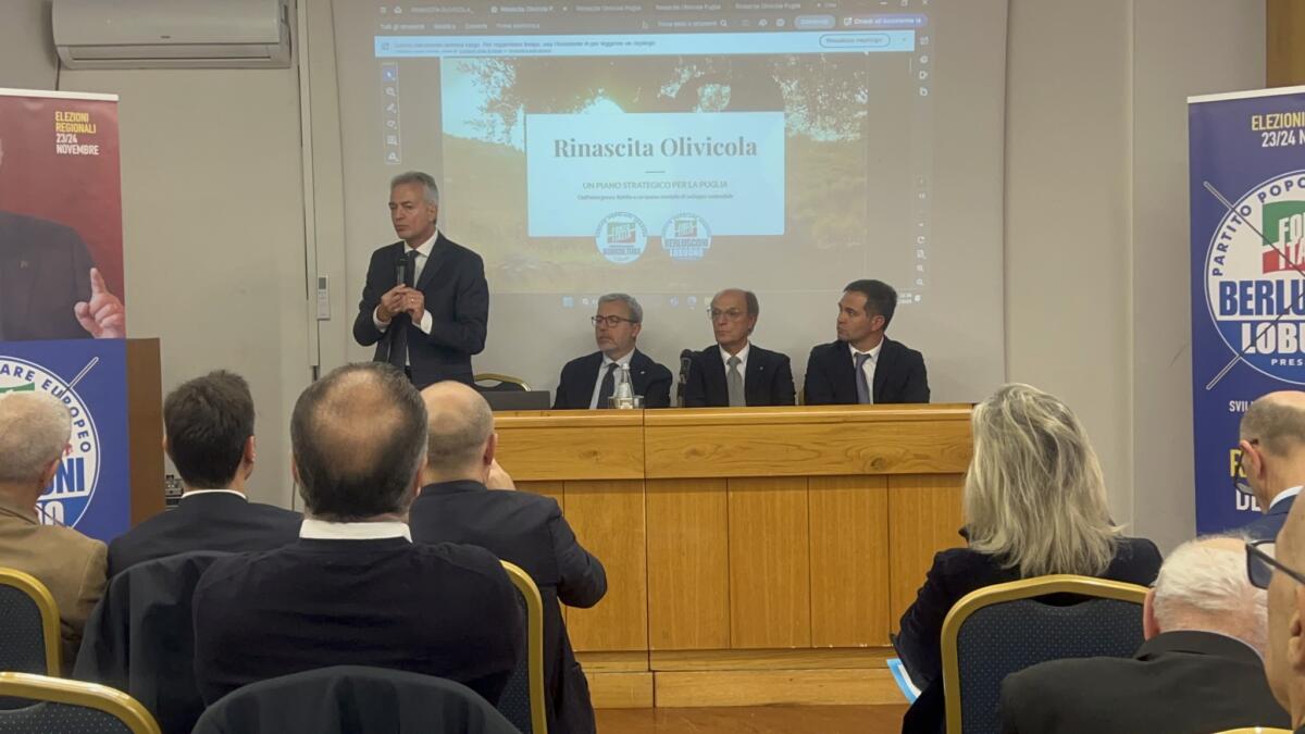 Regionali in Puglia, Forza Italia lancia il piano contro la Xylella: una cabina di regia e il riconoscimento di area svantaggiata Regionali in Puglia, Forza Italia lancia il piano contro la Xylella: una cabina di regia e il riconoscimento di area svantaggiata