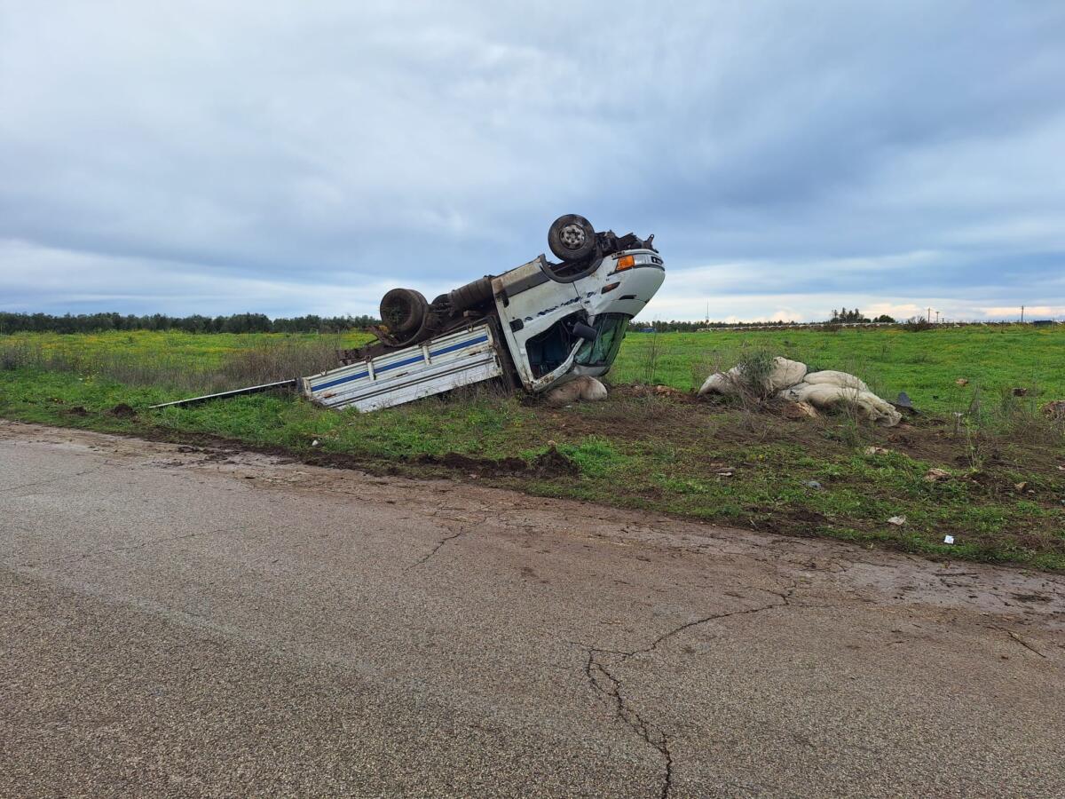 Autocarro finisce fuori strada e si ribalta sulla provinciale tra Andria e Bisceglie: 30enne in ospedale – FOTO