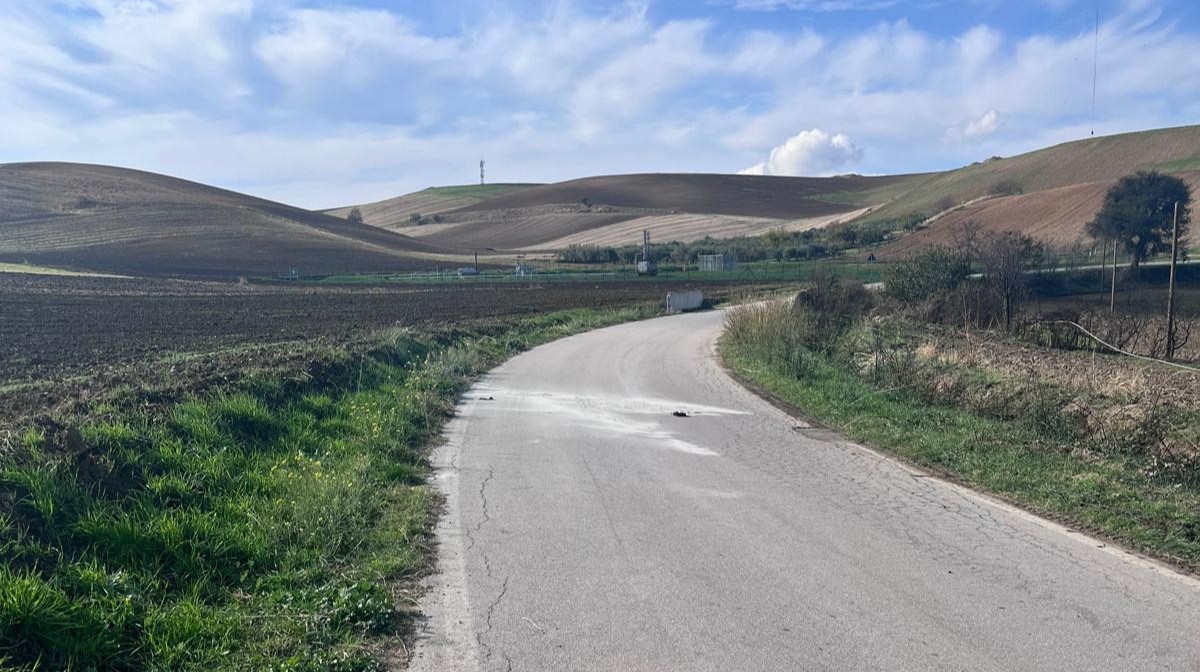 Galleria foto 'Drammatico incidente nel Foggiano, investito da un mezzo agricolo sulla provinciale: muore un 70enne' - foto 1