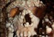 Neanderthal, ricostruito in 3D il naso dell’uomo di Altamura: «Non era adatto al freddo»