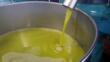 In Puglia raddoppia la produzione di olio al 31 ottobre: la regione è seconda in Italia dopo la Sicilia