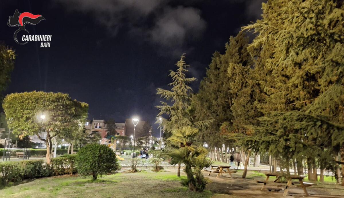 Galleria foto 'Gravina, spacciano droga in un parco giochi davanti a bambini e famiglie: arrestati due 20enni' - foto 2