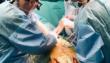 Trapianti di cuore a Bari: il Policlinico primo in Italia e in Europa, Bottio: «Da gennaio 94 operazioni» – L’INTERVISTA