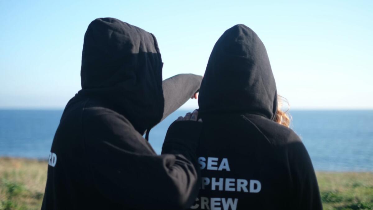 Galleria foto 'Torre Guaceto, identificati e denunciati otto pescatori di frodo: sono tutti della provincia di Bari – VIDEO' - foto 1