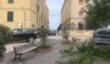 Bari, nuovi alberi in città: dal borgo antico a Poggiofranco