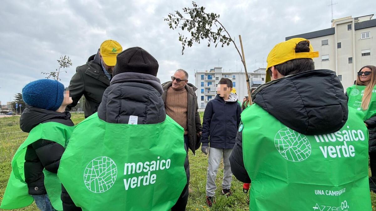 Galleria foto 'Bari, il quartiere San Paolo respira: 500 nuovi alberi grazie ai dipendenti-volontari – FOTO' - foto 3