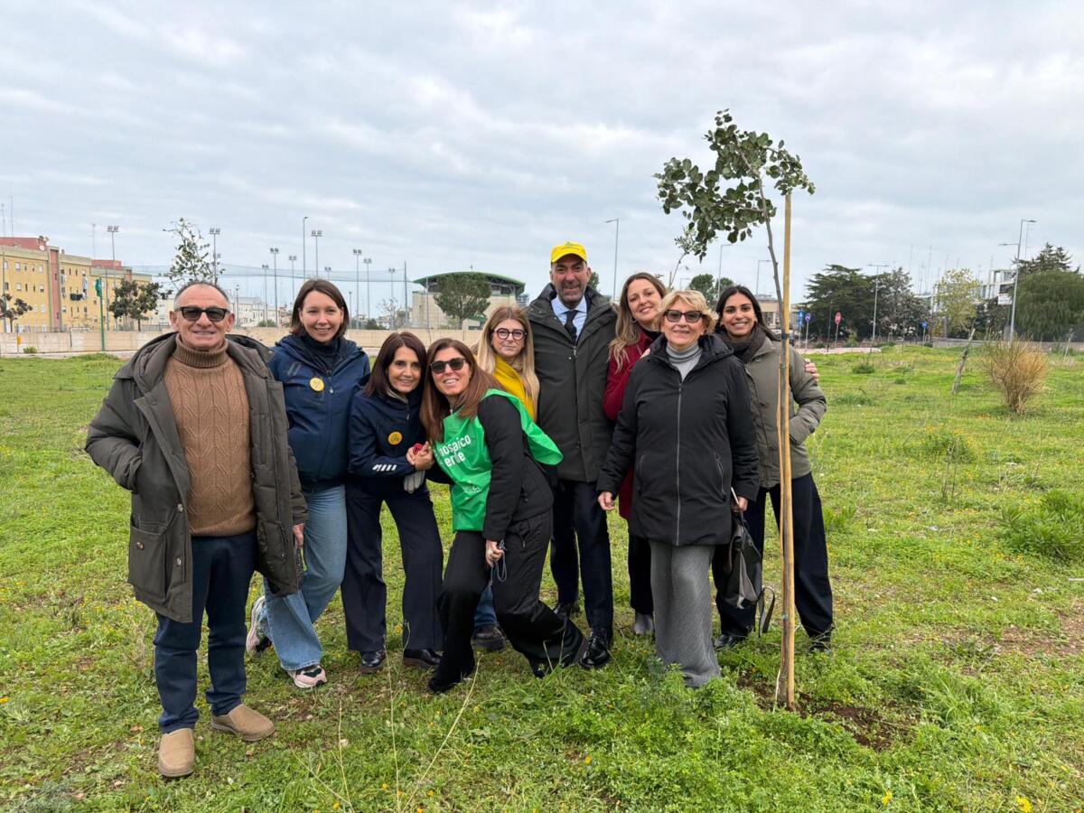 Galleria foto 'Bari, il quartiere San Paolo respira: 500 nuovi alberi grazie ai dipendenti-volontari – FOTO' - foto 2