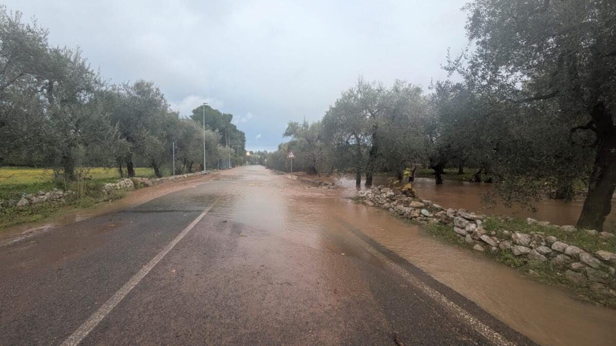 Galleria foto 'Maltempo in Puglia, un’altra giornata di pioggia e temporali: allerta gialla fino alle 14 di venerdì' - foto 2