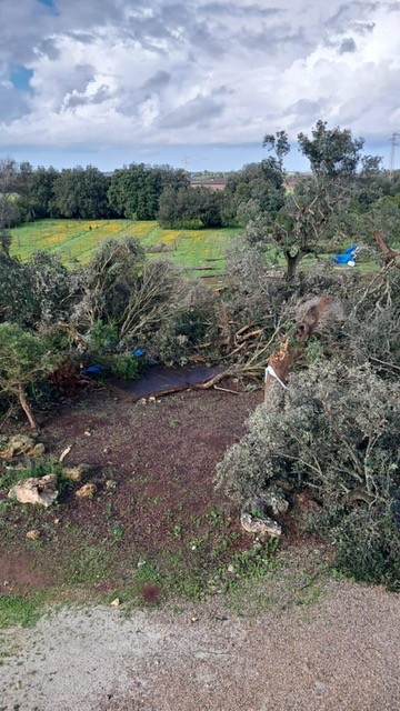 Galleria foto 'Maltempo in Puglia, un’altra giornata di pioggia e temporali: allerta gialla fino alle 14 di venerdì' - foto 4
