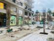 Bari, in via Argiro via alla piantumazione di 100 nuovi alberi: «In primavera cambieranno il volto della strada»