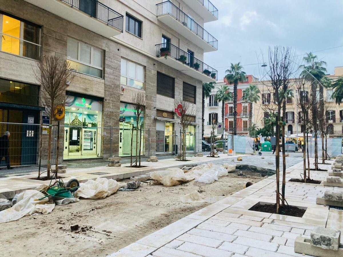 Galleria foto 'Bari, in via Argiro via alla piantumazione di 100 nuovi alberi: «In primavera cambieranno il volto della strada»' - foto 1