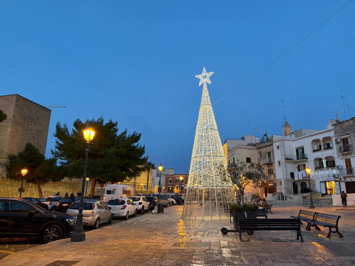 Galleria foto 'Natale a Bari, vandalizzati gli alberi a Palese e al Castello Svevo. Leccese: «Un torto alla collettività»' - foto 1