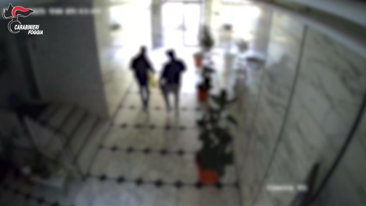 Galleria foto 'Foggia, smantellata una rete di trafficanti di droga: 24 arresti in tutta Italia, giro d’affari da 200mila euro al mese – VIDEO' - foto 1