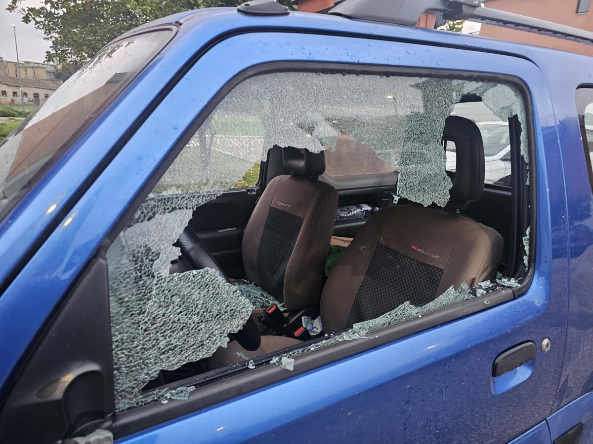 Galleria foto 'Foggia, finestrini in frantumi e lancio di pietre contro l’auto del presidente WWF' - foto 1