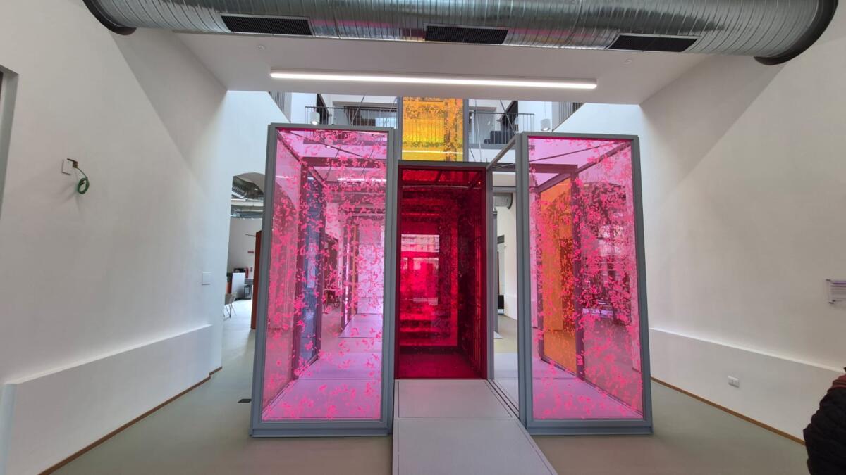Galleria foto 'Bari, all’ombra di San Nicola nasce la più grande biblioteca del Mezzogiorno' - foto 1